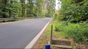 Ford Mustang 5.0 V8 (2020) - engine & exhaust sound + acceleration