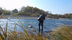 Хариус. Урюп .Чулым.