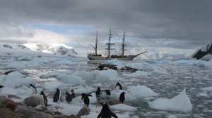 Открытие Антарктиды