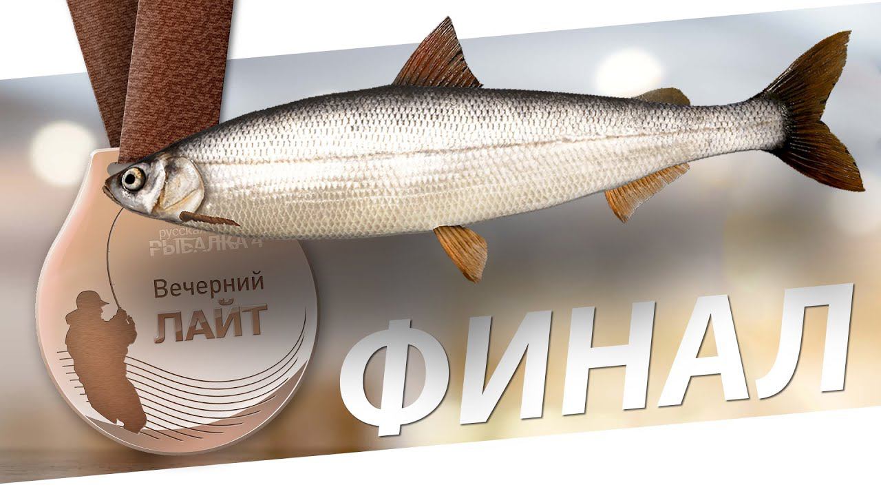 РУССКАЯ РЫБАЛКА 4 - Вечерний Лайт ФИНАЛ / Тунгуска - Ряпушка сибирская Максимальный вес / Стрим смотреть онлайн