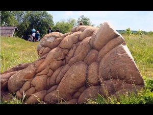 Каменные живые цветы  Камни которые растут и Движущиеся камни