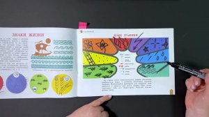 С. Г. Ашикова: Учимся у природы. Язык графики