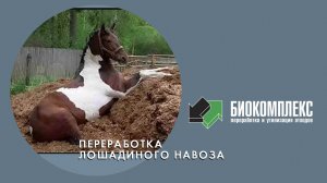 Переработка лошадиного навоза