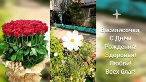 С Днём Рождения, Василиса!