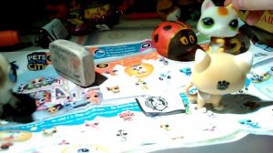 Как уговорить родителей купить LPS