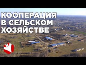 Кооперация в сельском хозяйстве | КФХ Герефорд