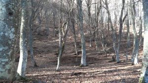 Крым. Гора Чатыр-Даг. Место силы и великолепных видов.