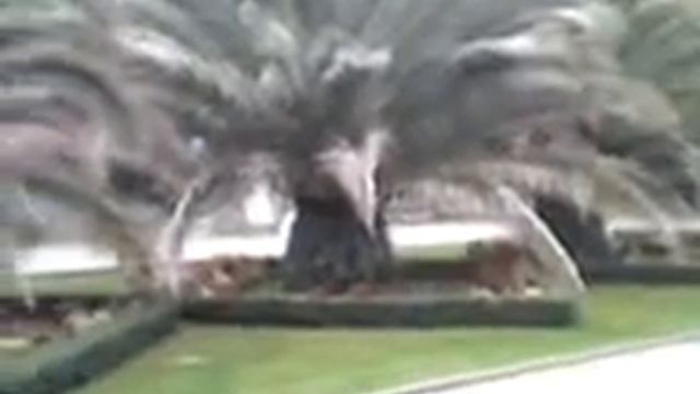 Площадь Искусств Сочи смотреть онлайн