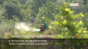 Начали травить комаров