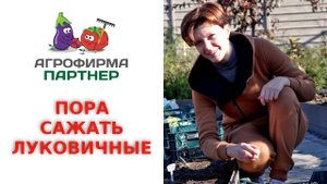 ПОРА САЖАТЬ ЛУКОВИЧНЫЕ