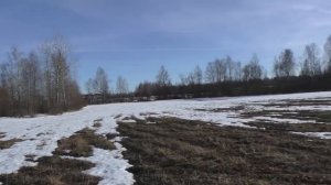 СЕРЕБРО ПОВСЮДУ ТУТ! Коп монет и артефактов Приключения копателей