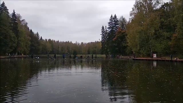 Поимки и сходы на Спорт-зоне. Клёвое место Лосиный остров. смотреть онлайн