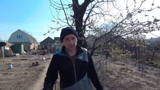 Посадили персик Ред Хевен и нектарин Супер Квин смотреть онлайн