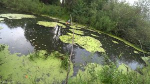 РВЕТ ПОВОДОК И КЛЮЕТ СНОВА! Ловля щуки на живца поставушками