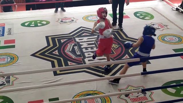 Матчевая встреча по боксу 23.03.2019 г. Грозный г. Минеральные воду(11) смотреть онлайн