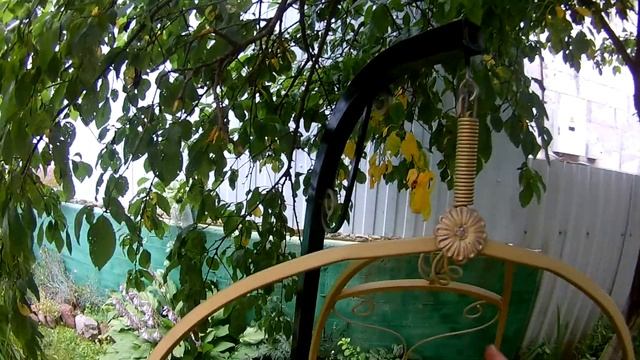 Качели кокон завершение