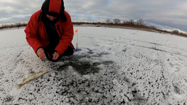 Открытие сезона ЗИМНЕЙ РЫБАЛКИ!!! 2019 - 2020 г. Щука, жерлицы. смотреть онлайн