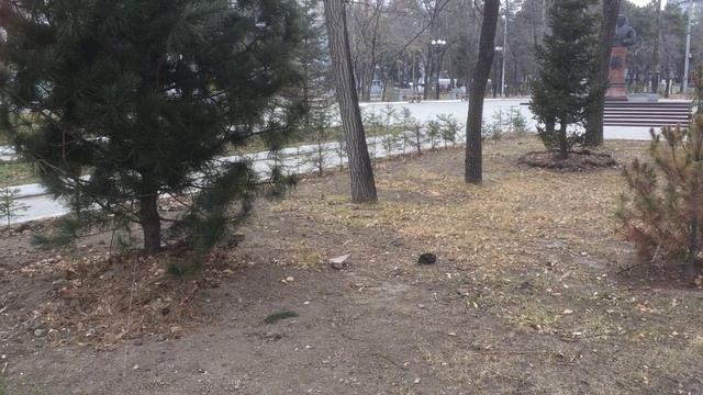 Прогулка по Хабаровску