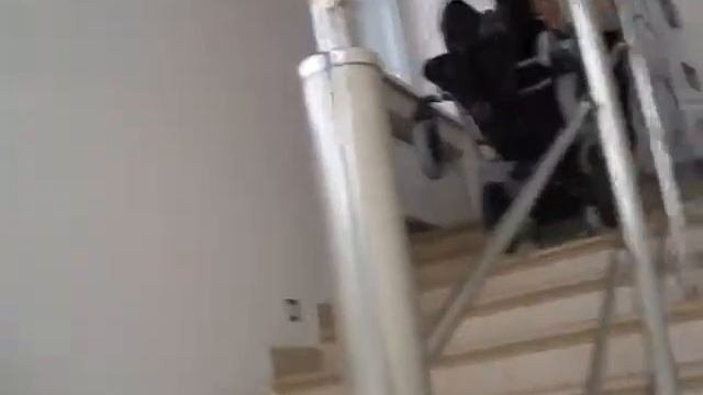 Лестницеходы