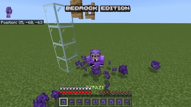 Java vs Bedrock