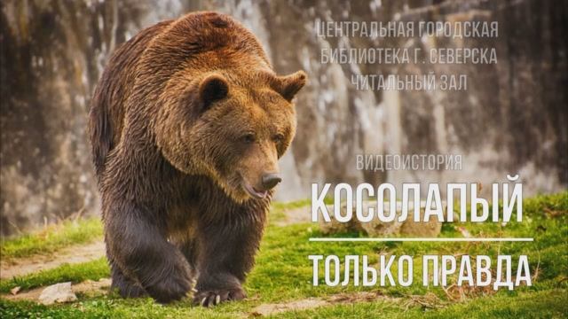 Видеоистория «Косолапый. Только правда» (12+)