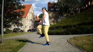Madcon - Don't Worry Feat. Ray Dalton | Tomio Chung