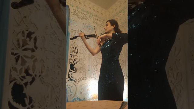 Электроскрипка без подключения | выключенная электроскрипка
