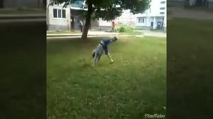 Бег наоборот