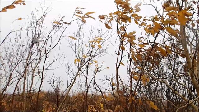 2023.09.16. Первый снег в Норильске. смотреть онлайн