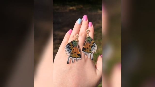 Красавица Урания Мадагаскарская?