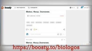 Приглашение на BOOSTY