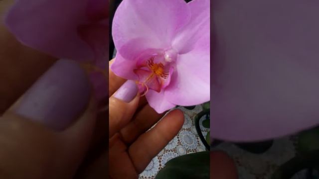 Видео под дождик.. смотреть онлайн