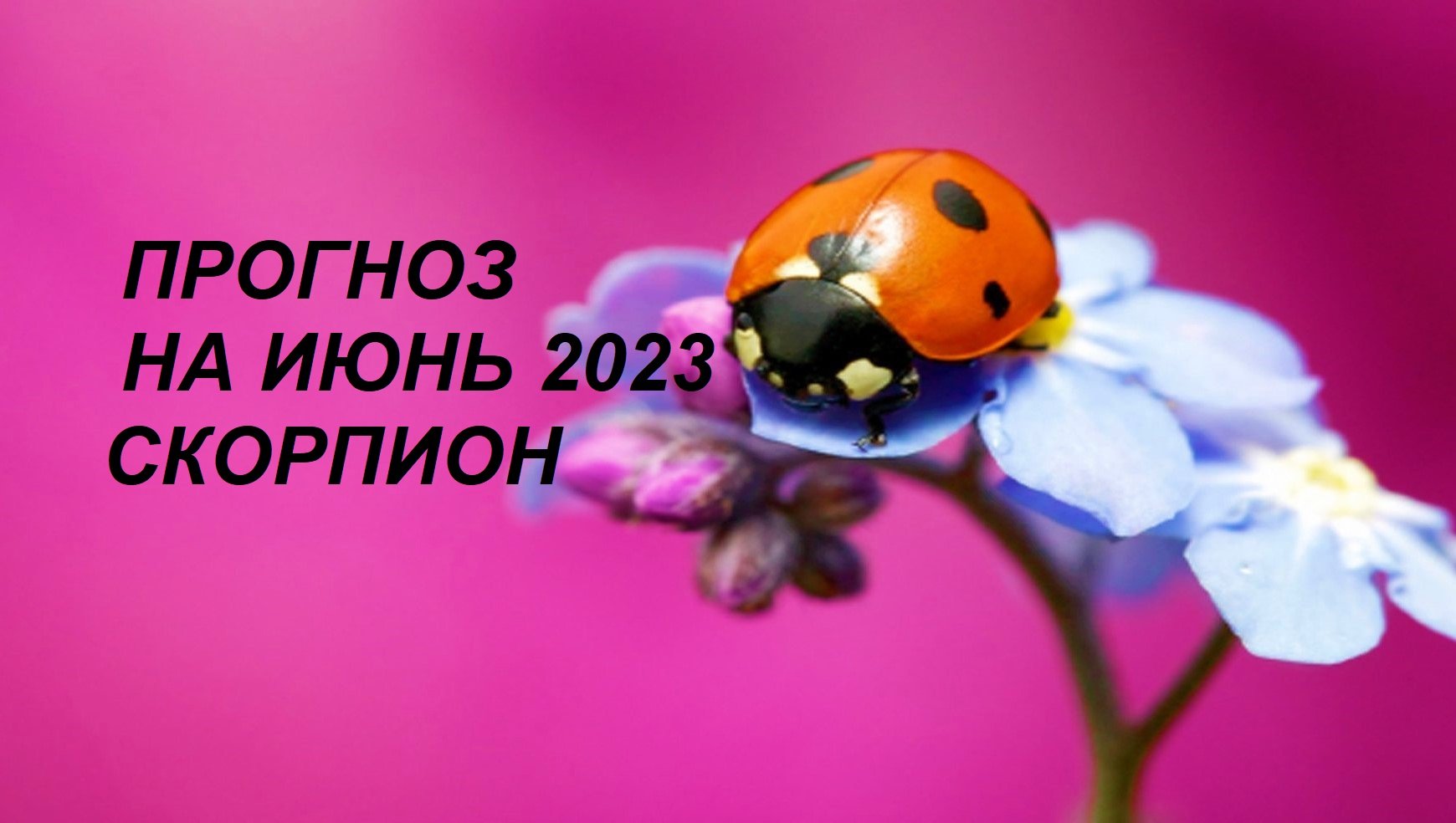♏ СКОРПИОНЫ - ПРОГНОЗ на ИЮНЬ 2023 на картах #Ленорман