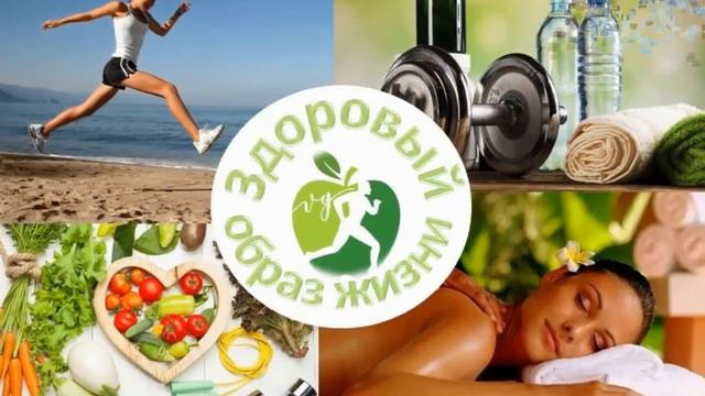 Всегда следуйте за слонами смотреть онлайн