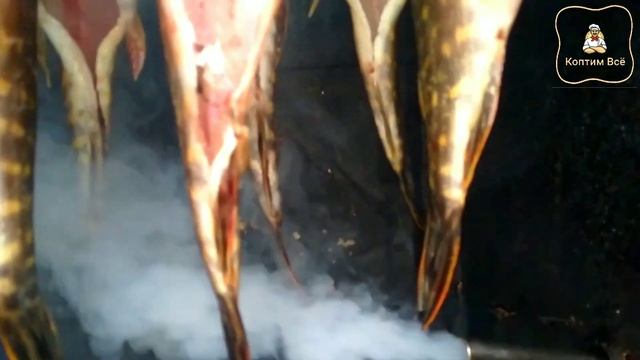 Как коптить рыбу горячим способом? Горячее копчение рыбы.