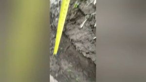 МТЗ 132 с двухкорпусным плугом от Уральца в работе.