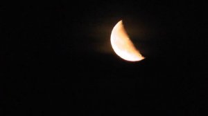 Огромная  луна низко над домами.Новосибирская область. Посёлок Горный. Красная луна.