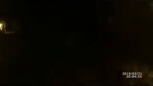 ЗООПАРК в отеле Dreams Vacation 4 смотреть онлайн