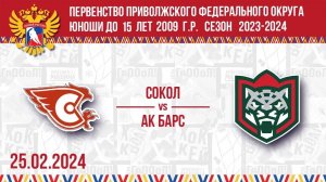 25.02.2024. ПРЯМОЙ ЭФИР. Первенство ПФО. ХК "Сокол-2009" - ХК "Ак Барс"