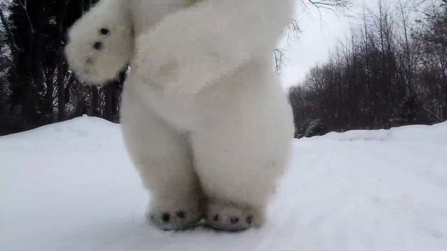 Белый мишка спешит поздравлять