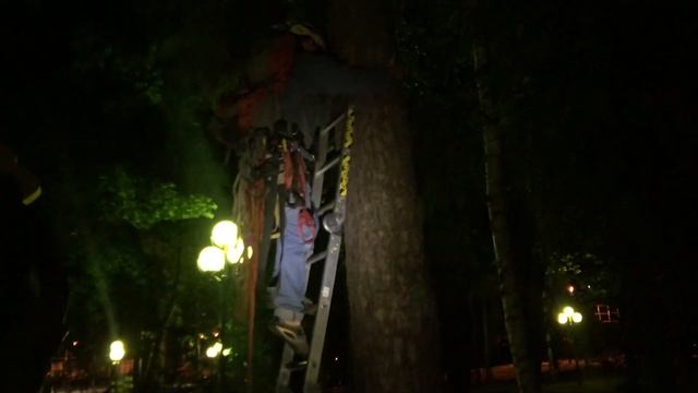 Достать квадрокоптер с дерева