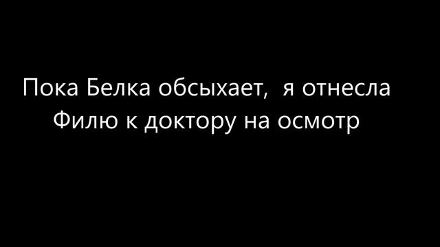 Мы заехали сначала на толкучку, а потом поехали к Белке А еще отвезли Филю на осмотр смотреть онлайн