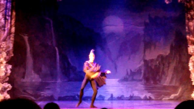 Лебединое озеро. Злой колдун. Russian classical ballet. Swan lake