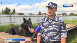 Кировские кинологи отметили свой профессиональный праздник