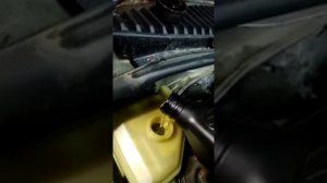 Замена масла в гидроусилители Мазда Демио