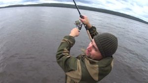 Лещи монстры реки Кама#рекакама#ловлялещанафидер