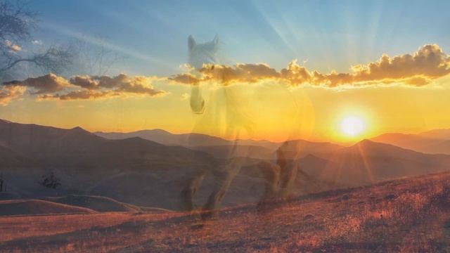 Самая Лучшая Музыка Для Снятия Усталости! Достаточно послушать 10 минут, чтобы отдохнуть!