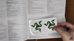 Razer: Kraken + Kraken X Lite + Kitty Ears (Wired Gaming Headsets Black, Green) - Unboxing