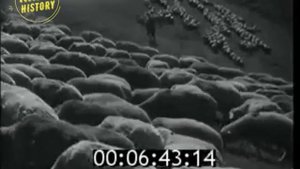 Овцеводы совхоза имени Ленина Джамбульской области, 1958 год
