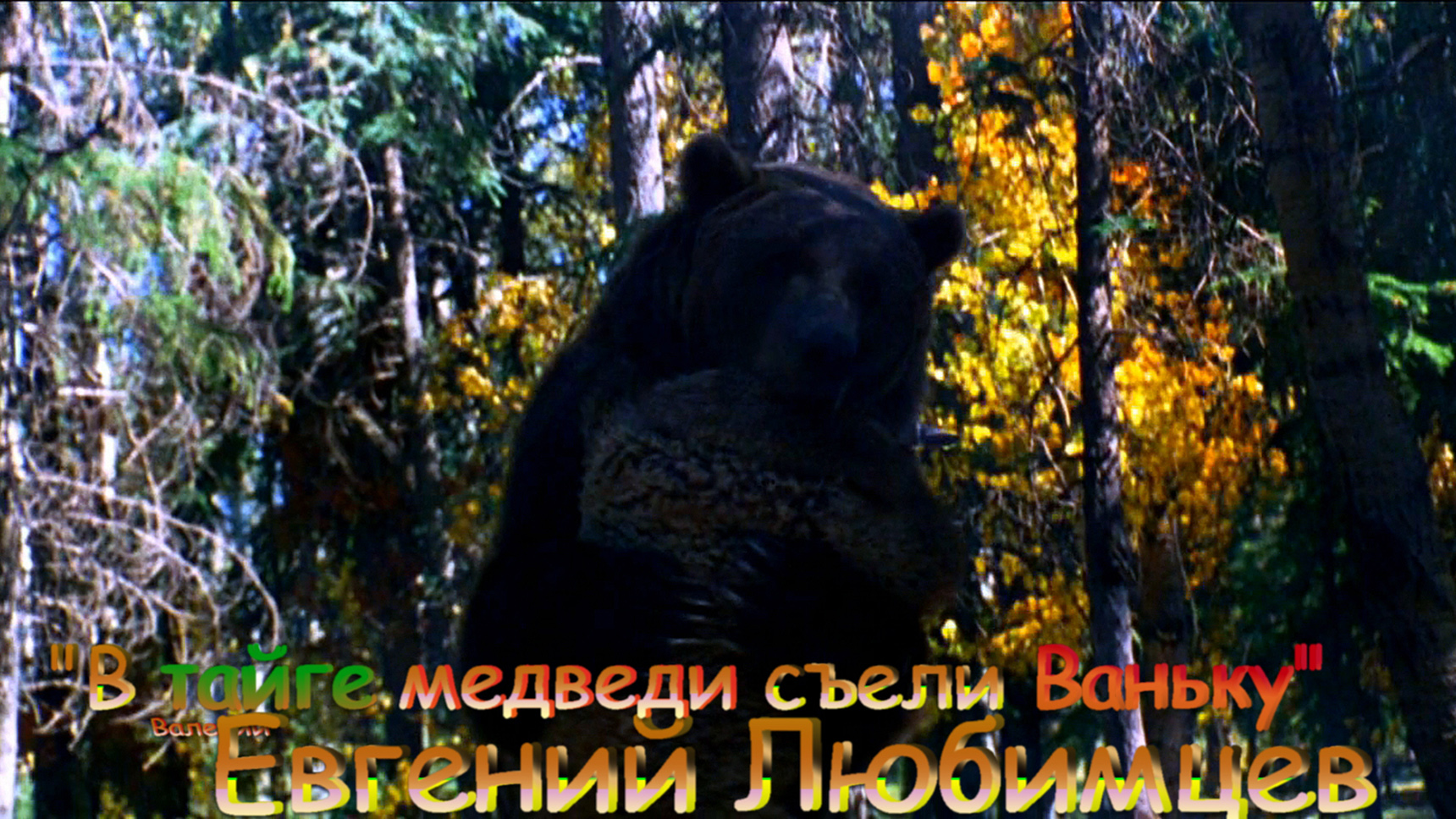 Шутки про тайгу. Тайга закон медведь хозяин. Wild bear prepares to attack again text. Медведи в сибирской тайге. Песня медведь тайга.